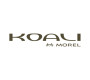 Koali