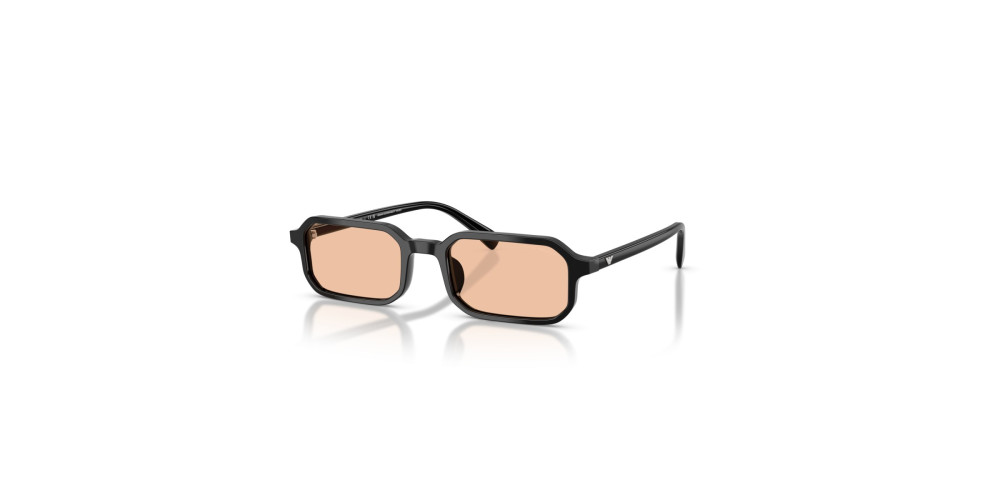 Emporio Armani EA 4253U 501793 54