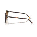 Сонцезахисні  окуляри Ray-Ban RB 2230 902/51 53 