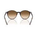 Сонцезахисні  окуляри Ray-Ban RB 2230 902/51 53 